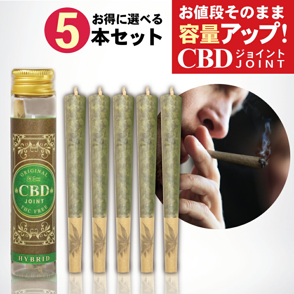 CANNABIS MUSEUM ROLLING PAPERS カンナビス ミュージアム ローリングペーパー FOREST WALL