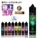 VAPER LIQUID EX 大容量 60ml マレーシア系 リキッド vape フルーツ メンソール ベイパーリキッド ニードルボトル pod マレーシア ...