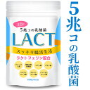  LACT 乳酸菌 サプリ 善玉 菌 ビフィズス菌 4種類の乳酸菌 ラクトフェリン イヌリン ガゼリ菌 ラブレ菌 食物繊維 ヨーグルト風味 タブレット 腸活 スッキリ サプリメント 30日分 菌活 国内製造