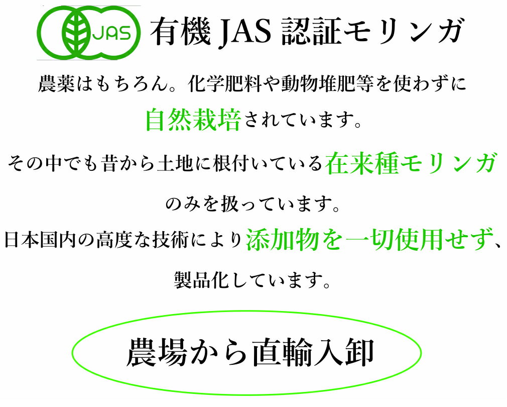 モリンガ葉100％パウダー 80g［モリンガ 有機JAS オーガニック 自然栽培 在来種 フィリピン 人気 マルンガイ 添加物一切不使用 日本国内加工 粉末 400メッシュ 瞬間蒸気殺菌］