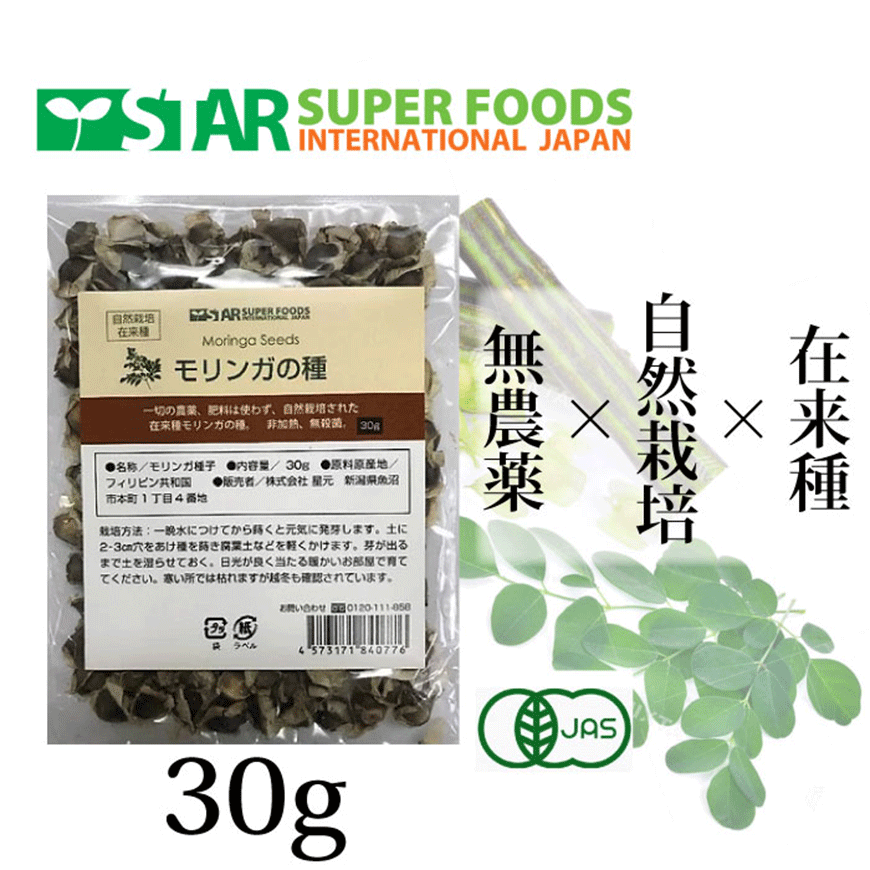 モリンガの種（自然栽培・在来種 ）30g モリンガ 種 スーパーフード 有機 オーガニック フィリピン産 もりんが モリンガ種子 無農薬 無肥料 シード モリンガシード たね タネ 有機モリンガ 有機jas認定 有機jas・オーガニック 自然栽培