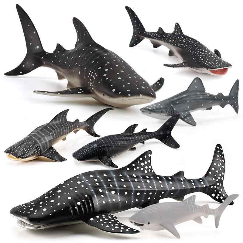 フィギュア キッズ リアル 海洋生物 ジンベエザメ ソリッド サメ PVC 知育玩具 学習用 海底生物 コレクション オブジェ インテリア 7歳以上 男の子 女の子