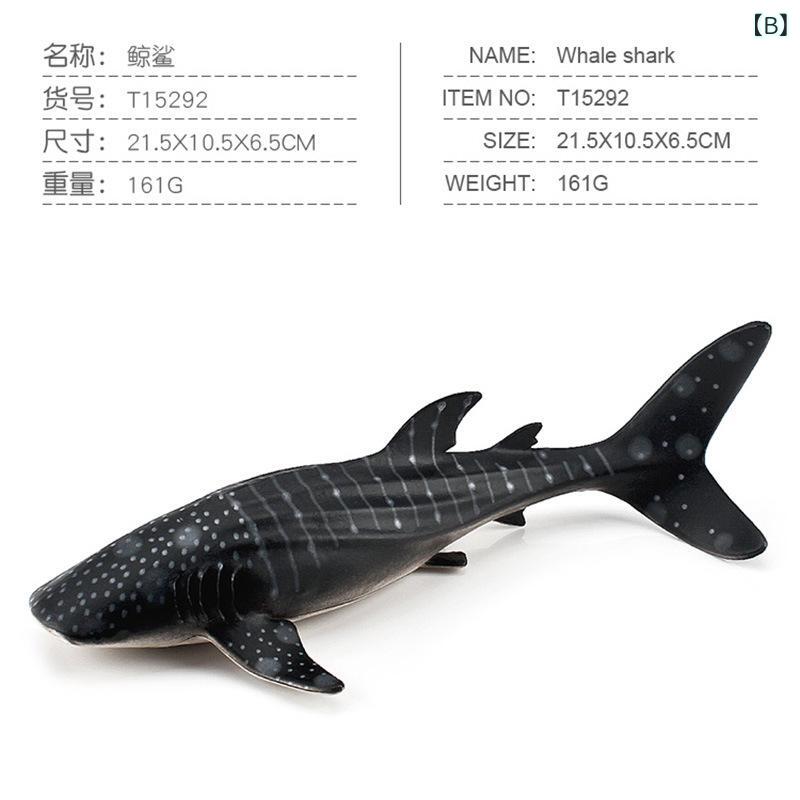 Startlineのフィギュア キッズ リアル 海洋生物 ジンベエザメ ソリッド サメ PVC 知育玩具 学習用 海底生物 コレクション オブジェ インテリア 7歳以上 男の子 女の子｜アングル3