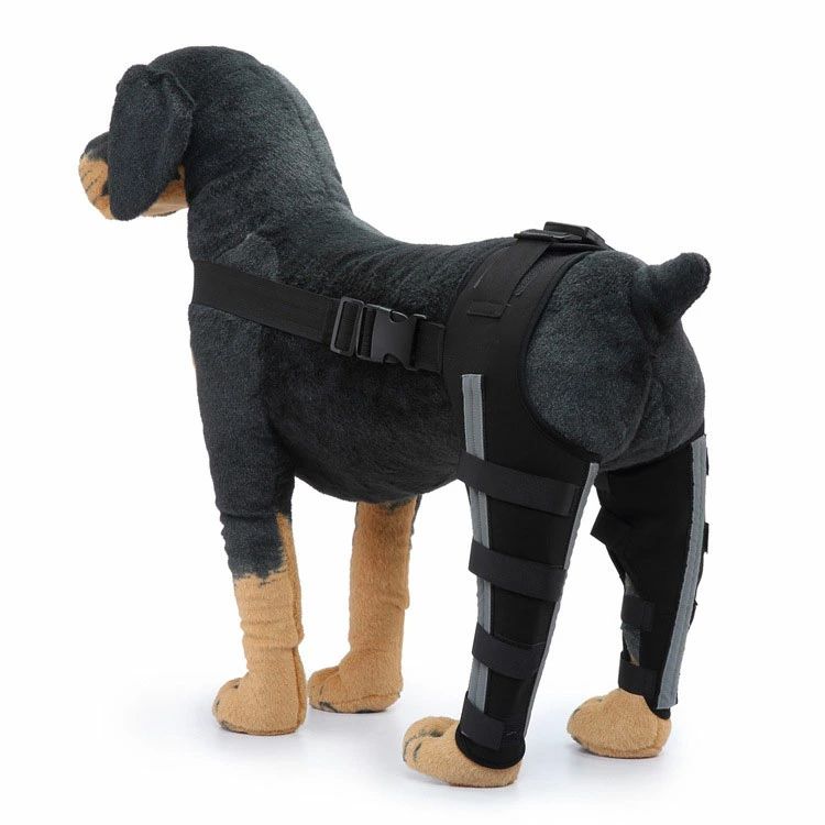 関節プロテクター 術後 犬 犬 用 膝 用 サポーター 関節保護 靭帯 保護 中型犬 治...