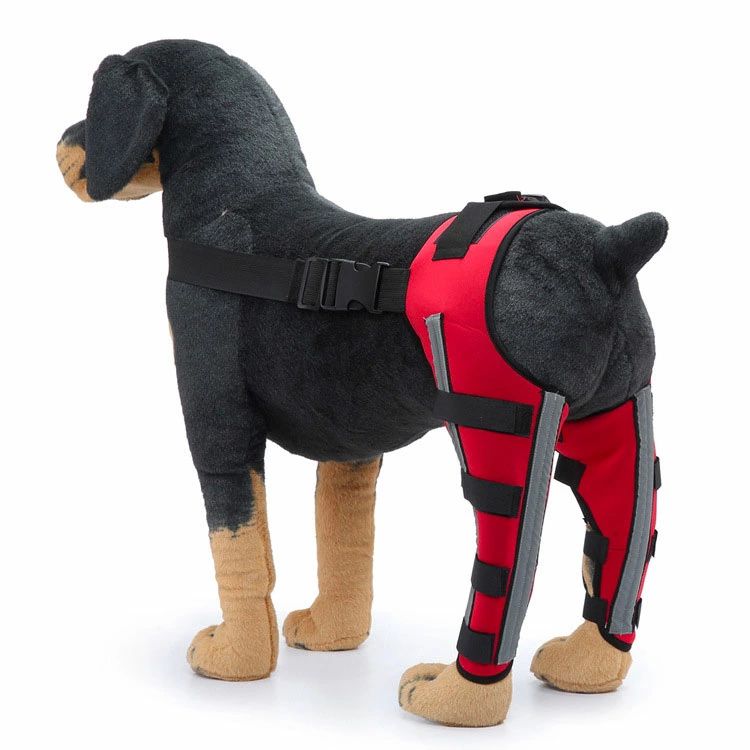 関節プロテクター 術後 犬 犬 用 膝 用 サポーター 関節保護 靭帯 保護 中型犬 治...