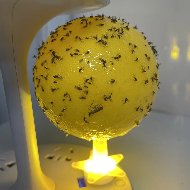 室内用 光で誘引する虫取りボール 粘着式 ハエ 蚊 コバエ対策 虫トラップ おしゃれ...