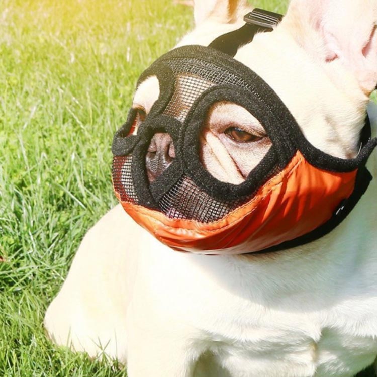 Startlineの犬用 口輪 短頭種 いぬ 短い鼻 犬用 マズル 口輪 無駄吠え防止 噛みつき防止 拾い食い止め ?み癖防止 噛みグセ対策 傷なめ防止 メッシュ 通気性抜群 ワンちゃん いぬ ペット用マズル ショートノーズ 口輪 ペット用マスク 小型犬 中型犬 大型犬 フレンチブルドック 送料無料｜アングル2