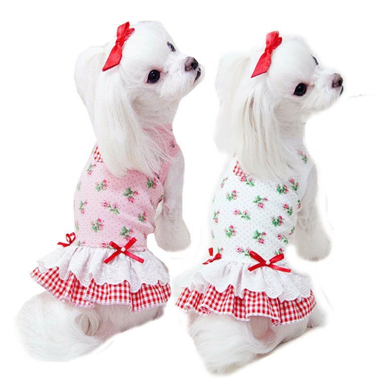 ハロウィン かぼちゃ ペット用品 ペットウェア ペット服 オレンジ リボン 犬 猫 飾り サロン トリマー オススメ パンプキン 帽子 ケープ フリース あったかい 柔らかい 人気 ダックス プードル かわいい 犬の服 秋 冬 プレゼント インスタ パーティ チョーカー SSサイズ 業務用 可愛い コスプレ ウィッグ付き マント ロリータ 貴族 小型犬 ワンピース 洋服 短納期 魔法使い パーティー 女の子 男の子 変身 スパイダー ドッグウェア 夏 送料無料 涼しい 王様 王子様 S M L XL 3点セット カッコイイ おもしろい 仮装 衣装 犬猫 中型犬 大型犬 魔女 変身 おもしろグッズ クリスマス イベント 写真撮影 つなぎ コウモリ パーカー アウター コート XS〜XLサイズ ドッグ服 猫服 変身 耳付き 着ぐるみ 撮影 チュールワンピ お化け 猫用 超絶キュン 首輪 ネクタイ バンダナ ガーランド 誕生日 しつけ首輪 痛くない 猫の首輪 着せ替え 襟かざり 首かざり かぶり物 サンタ デニム 服 デニムスカート 小型犬 中型犬 大型犬 Tシャツ フード付き パーカー 裏起毛 オールシーズン ギフト ハンガー 春 夏 秋 冬 定番 おしゃれ 可愛い 柴犬 お洋服 ペットグッズ かわいい お散歩 お出かけ 室内 防風 保温 お揃い 洗える 暖かい ペットベッド ペットソファ クッション マット 滑り止め もこもこ ふかふか 通気性抜群 寝心地いい 破れにくい 四季通用 軽量 脱着簡単 丈夫 安全ハロウィン かぼちゃ ペット用品 ペットウェア ペット服 オレンジ リボン 犬 猫 飾り サロン トリマー オススメ パンプキン 帽子 ケープ フリース あったかい 柔らかい 人気 ダックス プードル かわいい 犬の服 秋 冬 プレゼント インスタ パーティ チョーカー SSサイズ 業務用 可愛い コスプレ ウィッグ付き マント ロリータ 貴族 小型犬 ワンピース 洋服 短納期 魔法使い パーティー 女の子 男の子 変身 スパイダー ドッグウェア 夏 送料無料 涼しい 王様 王子様 S M L XL 3点セット カッコイイ おもしろい 仮装 衣装 犬猫 中型犬 大型犬 魔女 変身 おもしろグッズ クリスマス イベント 写真撮影 つなぎ コウモリ パーカー アウター コート XS〜XLサイズ ドッグ服 猫服 変身 耳付き 着ぐるみ 撮影 チュールワンピ お化け 猫用 超絶キュン 首輪 ネクタイ バンダナ ガーランド 誕生日 しつけ首輪 痛くない 猫の首輪 着せ替え 襟かざり 首かざり かぶり物 サンタ デニム 服 デニムスカート 小型犬 中型犬 大型犬 Tシャツ フード付き パーカー 裏起毛 オールシーズン ギフト ハンガー 春 夏 秋 冬 定番 おしゃれ 可愛い 柴犬 お洋服 ペットグッズ かわいい お散歩 お出かけ 室内 防風 保温 お揃い 洗える 暖かい ペットベッド ペットソファ クッション マット 滑り止め もこもこ ふかふか 通気性抜群 寝心地いい 破れにくい 四季通用 軽量 脱着簡単 丈夫 安全