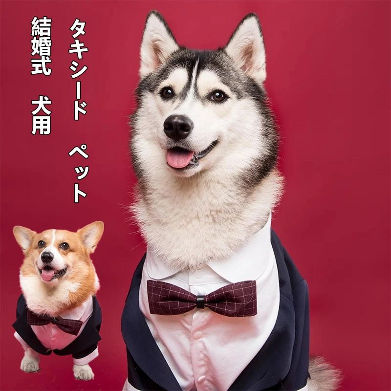 樂天商城 - 犬服 ペット服 ペット ペット用 犬服 ドッグウェア タキシード 新郎 リボン ネックレス付き 中型犬 結婚式 ウェディング お祝い 記念パーティー 制服 ハスキー コーギー 柴犬 お散歩 お出かけ服 結婚式 記念写真 XL~7XL