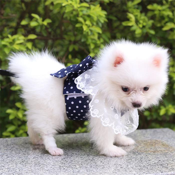 ハーネス 猫用胴輪 犬用胴輪 かわいい セット ハーネス＆リード ペット用品 猫用ハ...