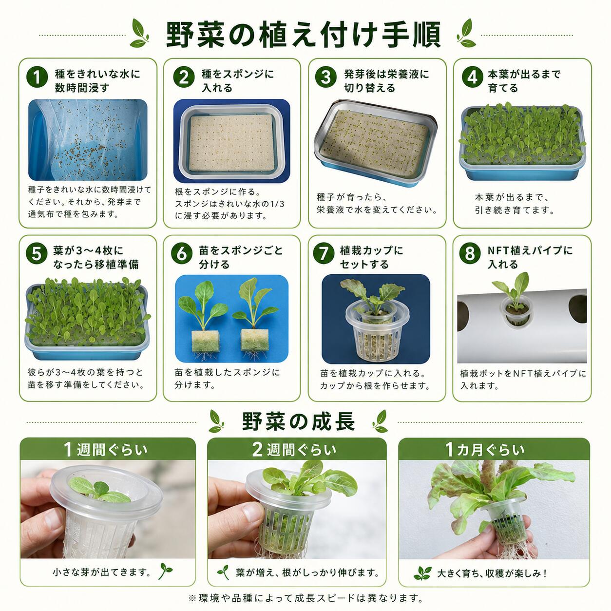 Startlineの水耕栽培キット 72穴 栽培セット 水耕栽培装置 水耕栽培器 野菜栽培 家庭菜園 室内栽培キット 水栽培セット 循環式 プランター イチゴ トマト ハーブ 野菜 初心者向け 自宅栽培 ベランダ菜園｜アングル3