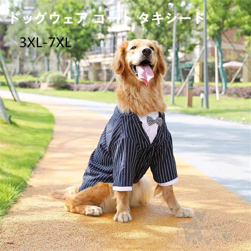 樂天商城 - ペット用品 大型犬 犬服 ドッグウェア コート タキシード 新郎 リボン ストライプ 結婚式 ラブラドール ゴールデン レトリバー ウェディング お祝い 洋服 ドッグウェア 蝶ネクタイ付き 送料無料