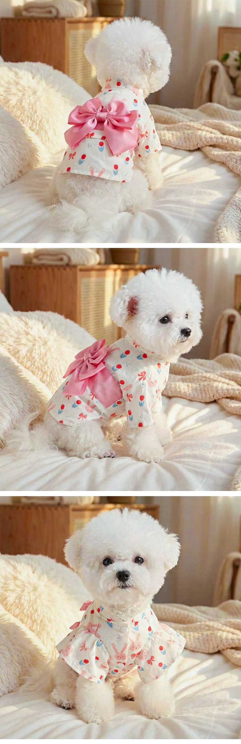Startlineのペット用浴衣 犬 猫 浴衣 犬服 ドッグウェア ペットウェア ゆかた 春 夏 おしゃれ かわいい 和服 和風 着物 お散歩 ペット用品 イベント かわいい お出かけ お散歩 ペット用浴衣｜アングル2