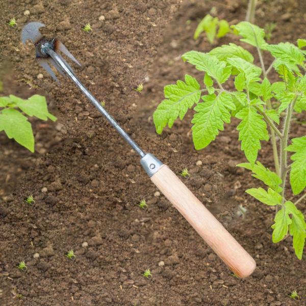 説明:[除草アーティファクト]:庭の除草ハンドツールは.屋外の庭や芝生から雑草を簡単に取り除き.労力を節約する熊手を備えています.[多機能]:この手草取り機は.草取り.ガーデニング.野菜の植え付け.採集.海のレジャーなどに使用できます.[人間工学に基づいたハンドル]:手除草除去プーラー.快適なハンドル.握りやすく.長時間使用しても簡単です.[ポータブルで軽量]:根抜き除草ツール.小型.保管が簡単.軽量設計なので持ち運びが簡単です.[耐久性のある素材]:手耕運機の熊手鍬耕運機ツールは高品質の鉄で作られており.錆びにくく.頑丈で耐久性があります.仕様:材質:木材.金属サイズチャート:木製ハンドル:38cmx8.5cmx3.5cm/14.96インチx3.35インチx1.38インチゴム製ハンドル:35cmx8.5cmx3.5cm/13.78インチx3.35インチx1.38インチ鉄ハンドル:35cmx8.5cmx3.5cm/13.78インチx3.35インチx1.38インチ 注意:1. 手動測定のた...説明:[除草アーティファクト]:庭の除草ハンドツールは.屋外の庭や芝生から雑草を簡単に取り除き.労力を節約する熊手を備えています.[多機能]:この手草取り機は.草取り.ガーデニング.野菜の植え付け.採集.海のレジャーなどに使用できます.[人間工学に基づいたハンドル]:手除草除去プーラー.快適なハンドル.握りやすく.長時間使用しても簡単です.[ポータブルで軽量]:根抜き除草ツール.小型.保管が簡単.軽量設計なので持ち運びが簡単です.[耐久性のある素材]:手耕運機の熊手鍬耕運機ツールは高品質の鉄で作られており.錆びにくく.頑丈で耐久性があります.仕様:材質:木材.金属サイズチャート:木製ハンドル:38cmx8.5cmx3.5cm/14.96インチx3.35インチx1.38インチゴム製ハンドル:35cmx8.5cmx3.5cm/13.78インチx3.35インチx1.38インチ鉄ハンドル:35cmx8.5cmx3.5cm/13.78インチx3.35インチx1.38インチ 注意:1. 手動測定のた...