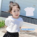 女の子 ブラウス 半袖 刺繍 花柄 ガールズ ブラウス 子供 シャツ キッズ服 小学生 フォーマル シャツ 入学式 卒園式 かわいい おしゃれ 子供服 トップス 通学 通園 結婚式 発表会 卒園式 卒業式 丸襟 無地 ホワイト