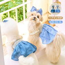 犬服 ドッグウェア ワンピース キャミワン 可愛い ヘアピン付き 2点セット ペット用品 猫服 カワイイ レース 小型犬 中型犬 インスタ映え 散歩 チワワ ト...
