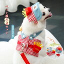 犬服 3点セット ハーネス ベスト 胴輪 帽子 リード 付き けん引 おしゃれ かわいい ハロウィン衣装 タンクトップ ウェアハーネス ドッグウェア メッシュ裏...