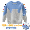 子供服 キッズ ニット セーター 長袖 男の子 女の子 ボーイズ ニット 恐竜 トップス 長袖 トップス キッズ 冬 恐竜 好き プレゼント トップス ニット ...