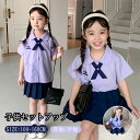子供 2点セット シャツ スカート 女の子 上下セット キッズ服 セットアップ ジュニア ブラウス 長袖 プリーツスカート キッズ フォーマルスーツ 発表会 卒業式 通学 通園 パーティー 結婚式 入学式 カジュアル 冬 春 秋 可愛い