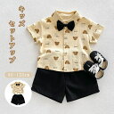子供 夏服 セットアップ キッズ シャツ ショーツ セット ベビー服 フォーマルスーツ トップス 韓国風 男の子 半袖 Tシャツ 赤ちゃん 上下セット 通園 通...