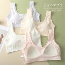 ジュニア ブラ ブラジャー ノンワイヤ 中学生 4枚セット ブラトップ タンクトップ コットン 女の子 キッズ レディース ファーストブラ ハーフトップ 子供 可愛い インナー スポーツブラジャー ガールズ 小学生 中学生 部活 下着 青春期 成長期
