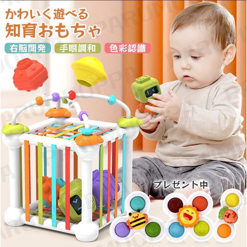 Rakuten - 【モンテッソーリ教育】おもちゃ 知育玩具 教育おもちゃ 数認知 男の子 女の子 積み木 積木 つみき 型はめ リングビーズコースター 誕生日 出産祝い プレゼント