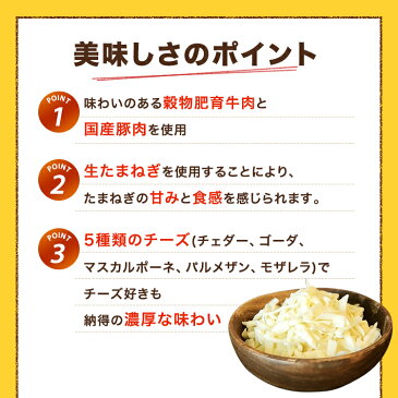 訳あり チーズインハンバーグ 10個入り アウトレット 業務用 大容量 冷凍 冷凍食品 レンジ ハンバーグ 温めるだけ チーズイン 5種 お買い得 濃厚 ジューシー 電子レンジ 肉加工品 食品 合挽肉 旨み 甘み お手軽 牛肉 豪州産 豚肉 国産 チーズ お取り寄せ