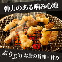 牛ホルモン 5kg（500g×10P）焼肉 しま腸 送料無料 牛肉 肉 ホルモン 大腸 シマチョウ 冷凍 冷凍食品 お肉 もつ もつ煮込み もつ鍋 焼肉 お鍋 業務用 大容量 バーベキュー BBQ 生ホルモン 焼き肉 おかず おうちごはん まとめ買い おつまみ 3