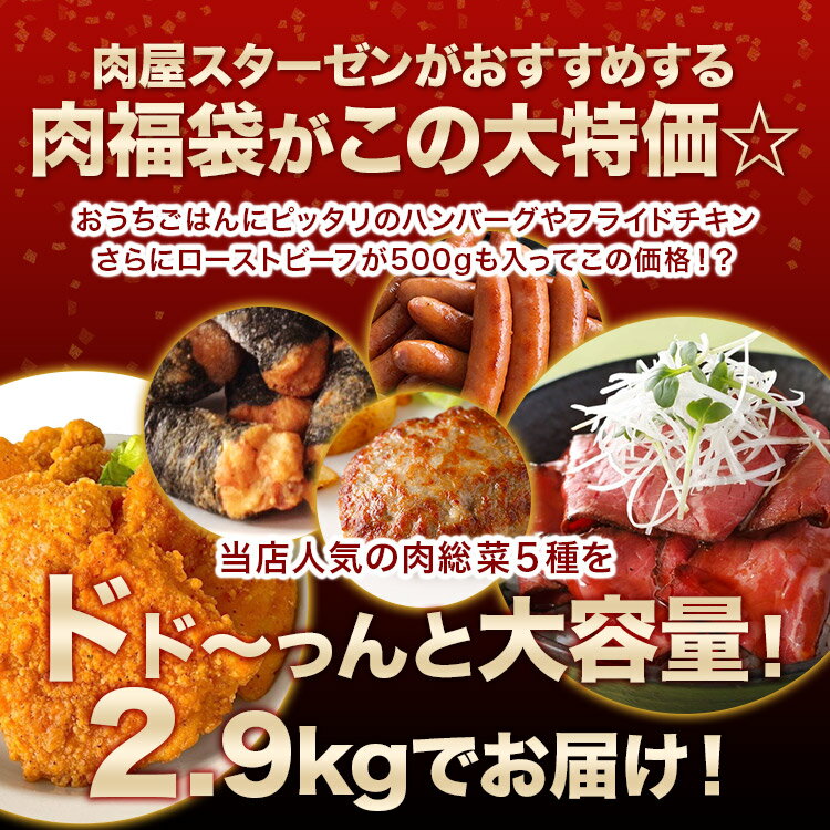 冷凍食品 福袋 肉 ネット限定 食品 5種 2.9kg 冷凍 大容量 ローストビーフ スライス ハンバーグ フライドチキン チキン 揚げ物 惣菜 ギフト のり巻きチキン 唐揚げ ソーセージ ウインナー お肉 まとめ買い セット おつまみ ギフト 夏休み