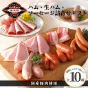 【先着200円OFF クーポン 有+ 早得 ポイント 10倍 7/18迄】 お中元 ハム 生ハム ソーセージ 10種 詰合せ ギフト 送料無料 食品 肉 お肉 ...