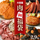 福袋 肉 ネット限定 食品 5種 2.9kg 冷凍食品 冷凍 大容量 ローストビーフ スライス ハンバーグ フライドチキン チキン 揚げ物 惣菜 ギフト のり巻...