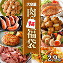 肉 福袋 8種 2.9kg 大容量 冷凍食品 ネット限定 食品 冷凍 ローストビーフ ハンバーグ ミニ コロコロ チーズ DELIBURG 味付 豚 ホルモン ...