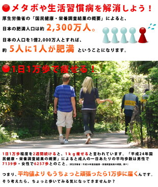 歩数計付き腕時計 歩数計測 時計 メンズ/レディース ウォーキング/ジョギング/ランニング 消費カロリー計測/歩数/移動距離/時速/運動時間 スポーツウォッチ デジタルウォッチ 男性用 女性用 腕時計 ブランド:ラドウェザー LAD WEATHER ペドメーターマスター あす楽