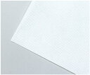 使い捨てベッドシーツコンパクト60×100cm 30枚入 51193 衛生用品 30枚入 使い捨てシーツ ベッドシーツ 使い捨て 個包装 業務用 介護 エステ ...