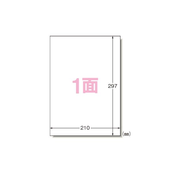 エーワンPPCラベル　A4ノーカット／　20枚28195