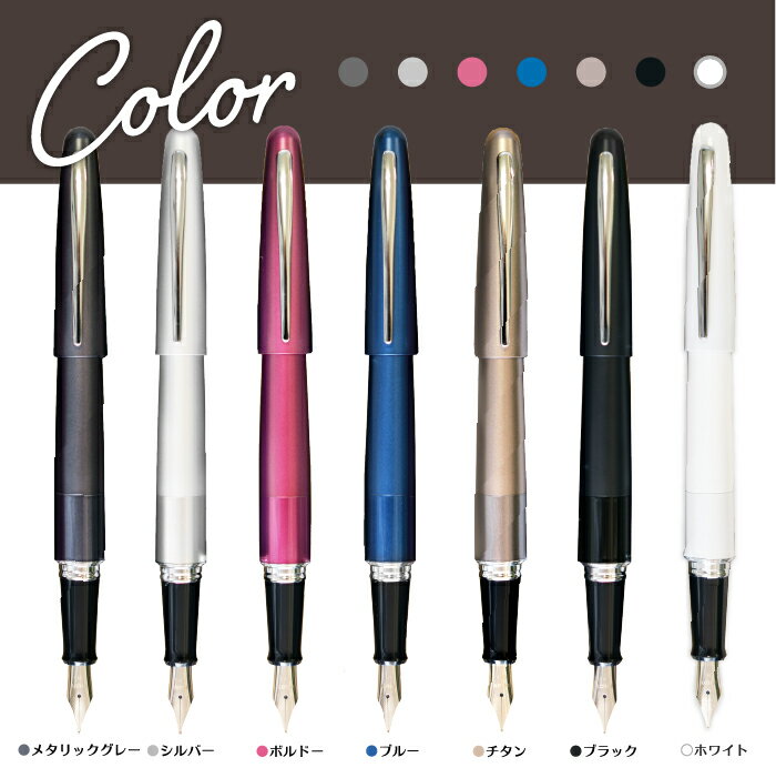 パイロット(pilot) 名入れ 万年筆 パイロット PILOT コクーン COCOON FCO-3SR (naky)