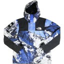 SUPREME Vv[ ~THE NORTH FACE 17AW Mountain Parka }EeWPbg  Size ySz yÕi-ɗǂz 20787057