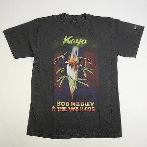 STUSSY ステューシー ×Bob Marley Kaya Pig 