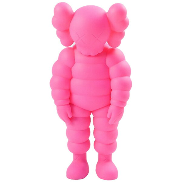 楽天市場】kaws what partyの通販