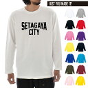 【長袖 オーダーメイドTシャツ】あなたの為の1着を作ります 名入れ ご当地 長袖Tシャツ ロンT ロングスリーブ シティ 都市名 地元愛 カスタムオーダー メン...