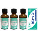 ハッカ油 30ml×3本 天然ハッカ ハッカ100% アロマ 消臭 ハッカ風呂 メール便 送料無料 ハッカ油30ml