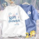 オーガニックコットン 半袖 レディース オーガニックコットン 半袖 レディース t シャツ レディース 夏の ショルダー 婦人服 綿 半袖 トップ 大きめ サイズ 半袖 レディース 夏服