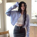 シャツ ショート丈 長袖 レディース クロップド丈 トップス おしゃれ カジュアル 羽織 シンプル ショートシャツ ショート 丈 短い シャツブラウス ゆったり クロップド ショートトップス ボリューム袖 長袖シャツ 春夏 春夏 秋 女性用 ショート