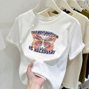 ワンピース レディース シャツ 個性的 ロング丈 長袖 フレンチスリーブ Vネック スキッパー 無地 春夏 かわいい きれいめ 上品 清楚 おしゃれ シンプル カジュアル ナチュラル 普段使い 着回し 重ね着 パステルカラー 脚長 レイク ブ