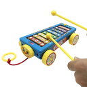 多彩なサウンド シロホンカー ライトが光る メロディが流れる パーカッション モッキン 木琴 鉄琴 おもちゃ 打楽器 音楽