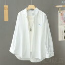 シアートップス tシャツ 長袖 重ね着 シアー 透け シャツ レイヤード 羽織り ライトアウター カーディガン 白 無地 シースルー 長袖 衿 襟 UVケア UV対策 透け感 ブラウス 体型カバー ホワイト シアー ロングスリーブ 大きいサイズ オーバー