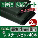 ★期間限定20%OFFセール★【着後レビューで10%OFFク...