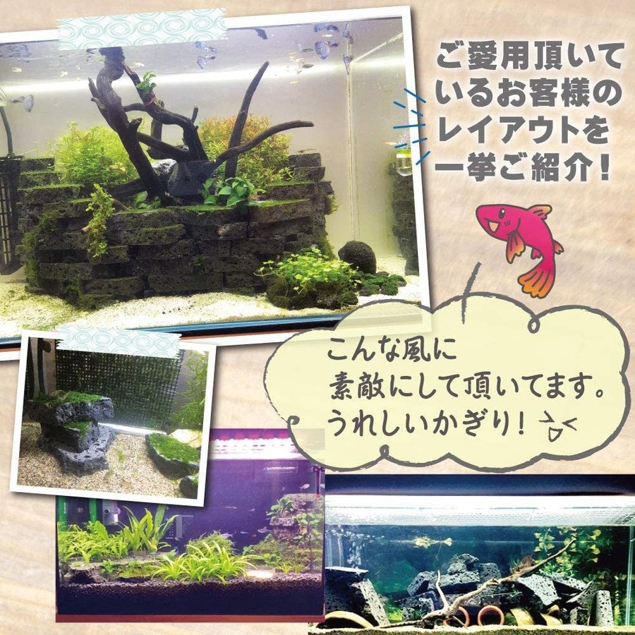 アクアリウム 石 溶岩石 レイアウト 2kg サイズss 店内全品対象 ボルケーノロック アクアリウム 石 溶岩石 レイアウト 2kg サイズss 店内全品対象 ボルケーノロック