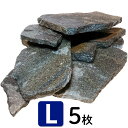 【保証付き】水槽の石 Lサイズ ×5枚入り アクアリウム オブジェ ロック レイアウト セット 国産 天然石 水槽石 輝岩石 水槽 石 熱帯魚 淡水魚 レイアウ...