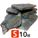 水槽の石 Sサイズ×10枚入り